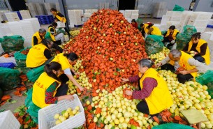 自動化分揀稱重設備：助力生鮮、凍貨及食品加工行業(yè)突破瓶頸